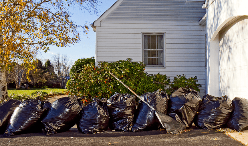 Living Green & Services