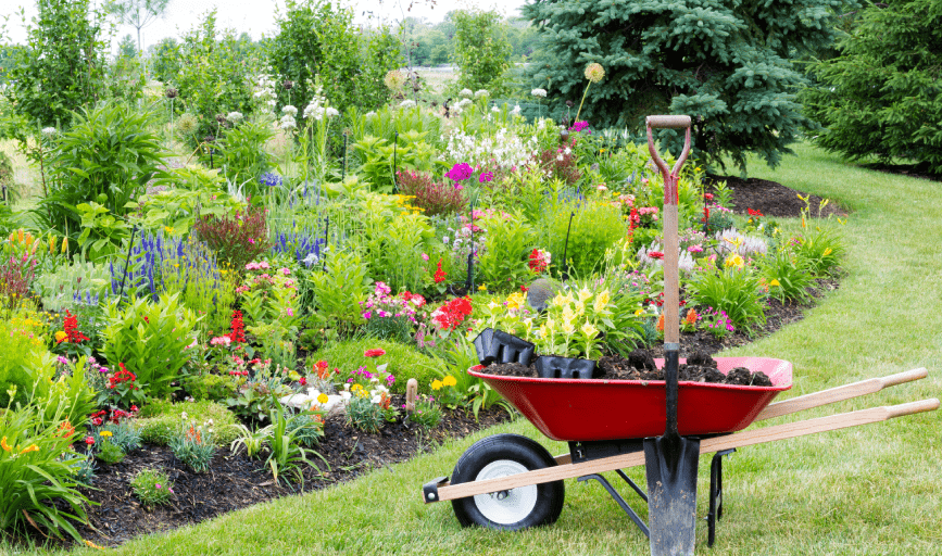 Living Green & Services